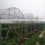 Multispan Plastic Film Greenhouse thumbnail-1