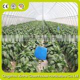 Hot Galvanized Pipe Cheap Plastic Film Agriculture Single Span Tunnel Greenhouse thumbnail-4