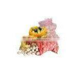 Fruit Packaging Bag thumbnail-1