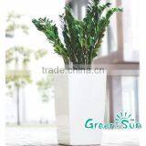 Elegant Tall Garden Flower Pots thumbnail-5