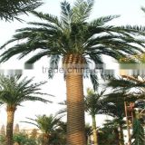 2017 hot sale outdoor decorative artificial plastic palm tree uv anti