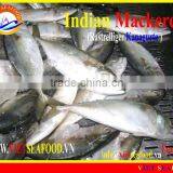 FROZEN W/R INDIAN MACKEREL thumbnail-6
