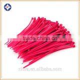2017 HOT SELL China Supplier Colorful Nylon Cable Tie thumbnail-2
