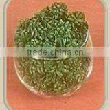 Star Flower thumbnail-1