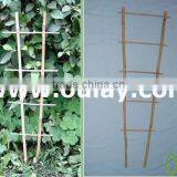 Garden Bamboo Trellis for Flower and Fruit for Wholesale thumbnail-4