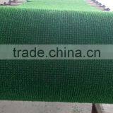 Environmental Protection Gold- Rush Grass thumbnail-4