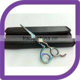 Professional Hair Dressing Scissors Shears