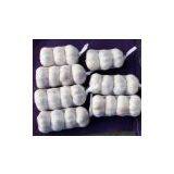 Sell Garlic thumbnail-1