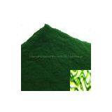 Spirulina Powder