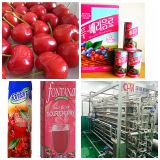 Fruit juice processing line