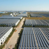 Shouguang Fuhsi Wood Group company overview - view 3 thumbnail