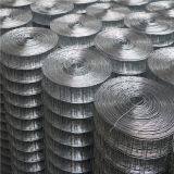1/2 Inch Galvanized Welded Wire Mesh/pvc Coated Welded Wire Mesh/weled Wire Mesh Fence thumbnail-1
