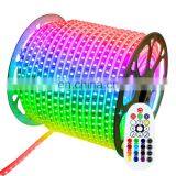 AC110V 120V 220V 240V RGB Flexible Color Changing Led Strip Lights With Remote thumbnail-2