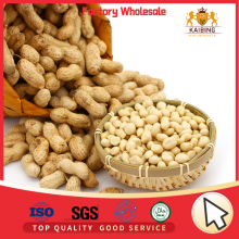 HIGH QUALITY PEANUT KERNELS BY JUNAN KAIBING thumbnail-2