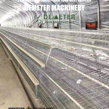 Chicken Cages for Sale thumbnail-1
