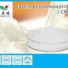 Casein Phosphopeptides
