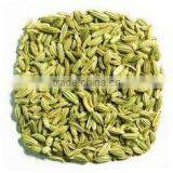 Fennel Seeds thumbnail-3