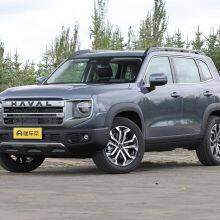 Haval Big Dog thumbnail-2