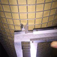 Hot-Dipped Galvanized Welded Wire Mesh Rolls for Heavy-Duty Fencing and Protection thumbnail-3
