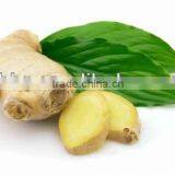 2014 new dried ginger price