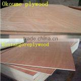Plywood Face 0.22-0.35mm Door Size Bintangor Veneer thumbnail-5