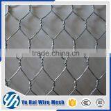 my Test 1.2mm Galvanized Hexagonal Chicken Wire Mesh