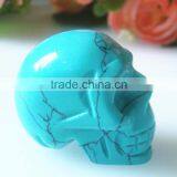 Skull Model Human for Sale thumbnail-2