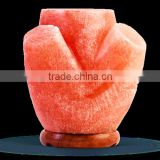 Trunk Figure Shape Himalayan Salt Lamp