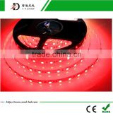 Low Voltage LED Strip, SMD 5050 SMD3528 High Brigtness Flexible RGB LED Strip