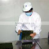 Nantong Sinfo Food Co., Ltd. company overview - view 2 thumbnail
