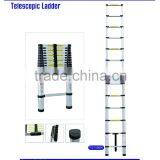 Telescopic Ladders, 9 Step thumbnail-2