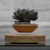 Low Price Levitating Pots for Plant Flower Pots thumbnail-1