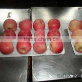 2012 Yantai Fuji Apple thumbnail-1