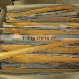 CINNAMON thumbnail-2