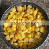 Good Quality Canned Sweet Corn Kernel thumbnail-1