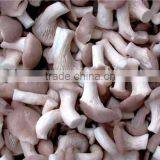 IQF Oyster --mushroom