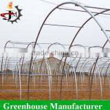 China Hot Sale Commercial Flower Greenhouse for Sale thumbnail-4