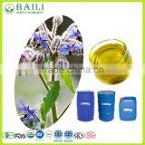 Best Price and Quality Cold Pressed Organic Borage Oil Bulk Plant Extract thumbnail-1