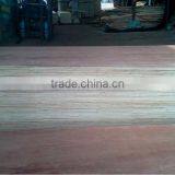 Bintangore Plywood for Singapore Market thumbnail-1