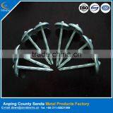 Anping Galvanized Roofing Nails / High Quality Umbrella Head Nails thumbnail-2