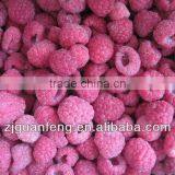 Iqf Tunnel Freezer Potato Chips Machine Blast Freezer thumbnail-6