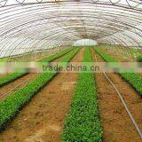 China Supplier Tomato Plastic High Tunnel Greenhouse thumbnail-2