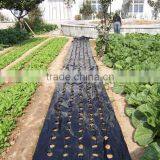 Plastic Agricultural Perforated Film With Holes for Seeding Growth thumbnail-4