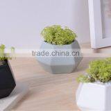 New Deign Small Hexagon Matte Porcelain Indoor Decorative Pots Planters thumbnail-2