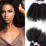 Beauty And Personal Care 14 Inch Front Lace Afro Curl Human Hair Wigs For Black Women Natural Real 