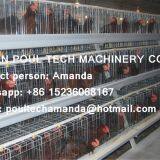 Tanzania Poultry Farm Hot Galvanized Cage & A Type Battery Cage Layer Breeding Chicken Cage & Coop for Poultry Farm