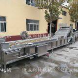 Raisin Processing Equipment Raisin Cleaning Line Raisin Cleaning and Drying Line thumbnail-2