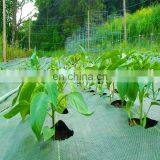Anti uv Plastic Agricultural Woven pp Weed Control Mat thumbnail-2