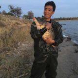 Toad Foam Fisheries Co. Ltd.. company overview - view 1 thumbnail