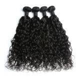 Curly 100% Human Hair Bundles Brazilian Hair Cuticle Aligned Raw Virgin Hair thumbnail-3